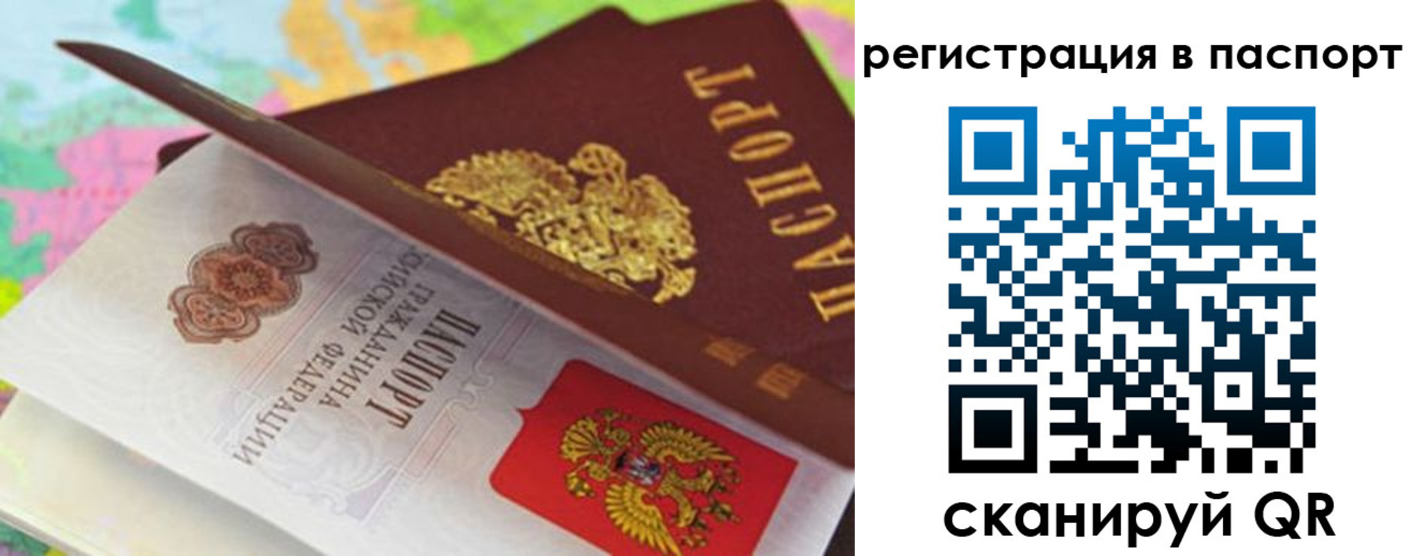 временная регистрация гарантия в Мытищах